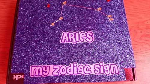 How To Create Your Zodiac Sign Using Recyclable Materials And LEDs